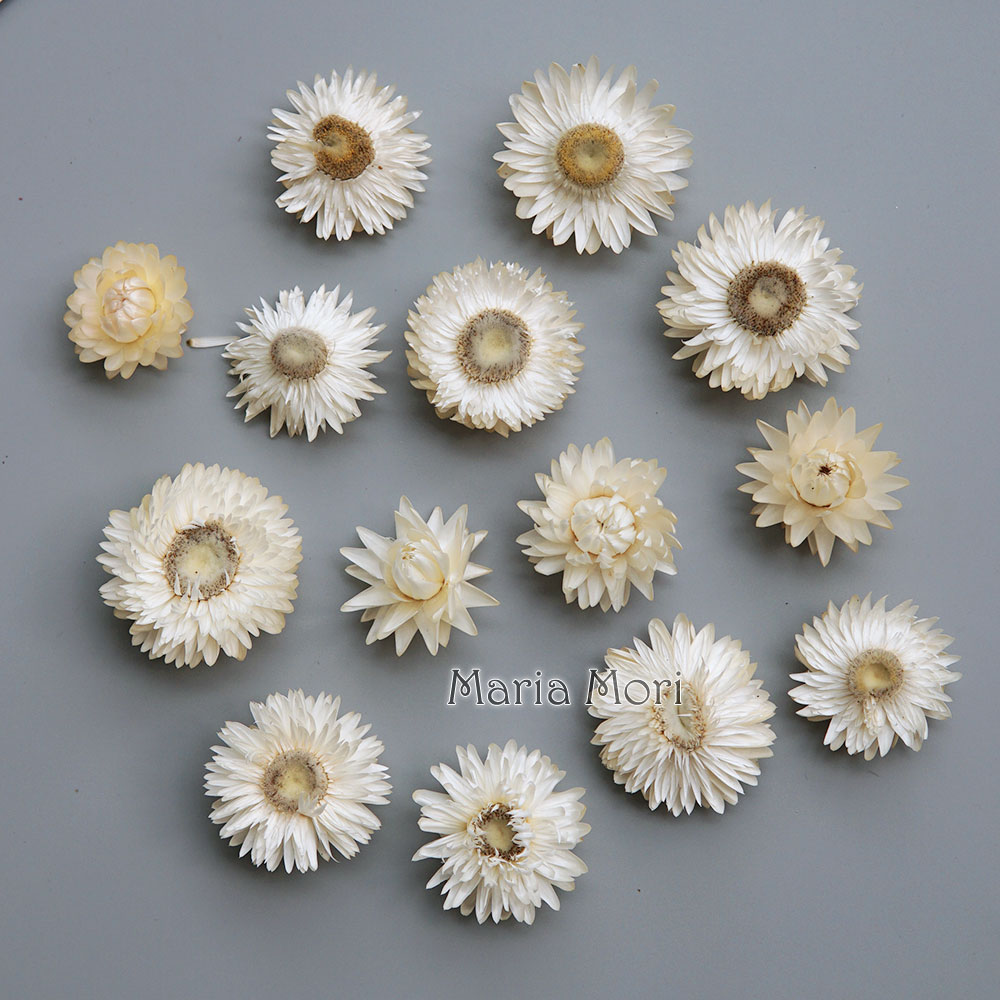 Baby Products In - Natural Dried Colorful Chrysanthemum Wreath Handmade