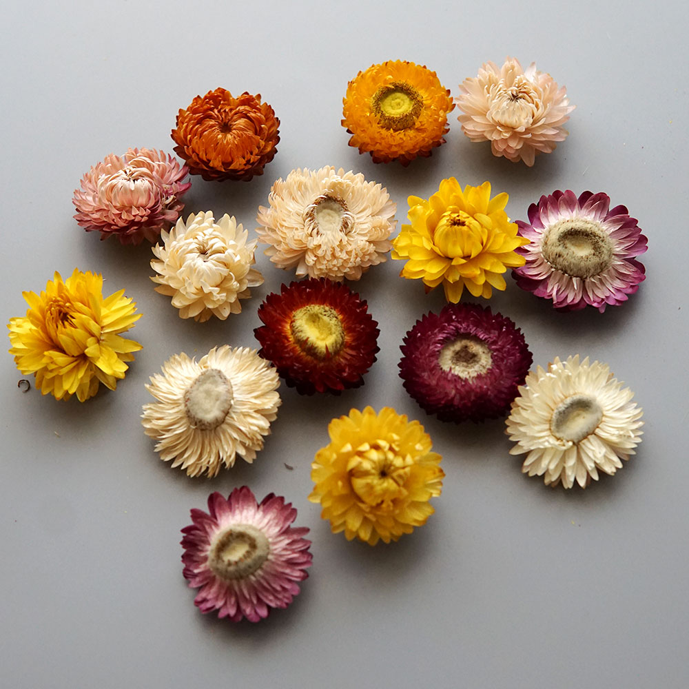Natural Dried Colorful Chrysan - Baby Products In 评论和价格