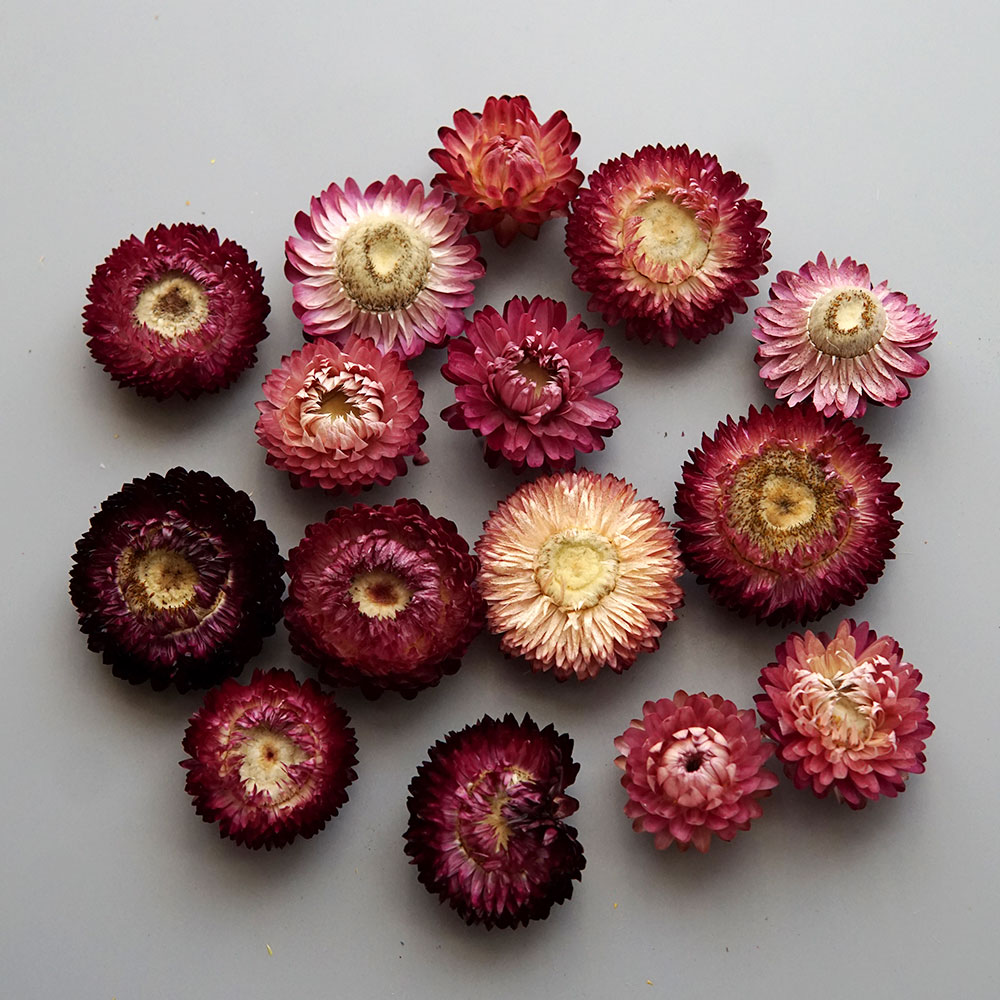 Natural Dried Colorful Chrysan - Baby Products In 评论和价格
