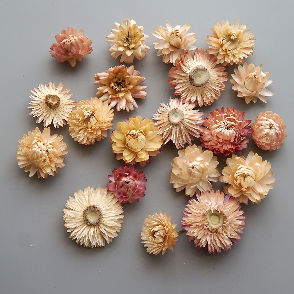 Natural Dried Colorful Chrysan - Baby Products In 评论和价格